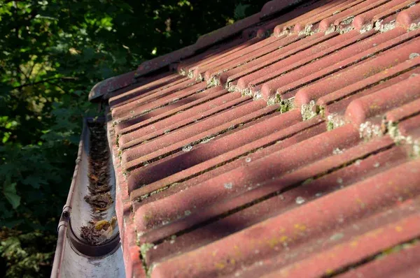 Old red concrete roof tiles covered in moss and lichen with a leaf-filled gutter before moss removal